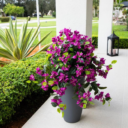 81RK64hvazL. AC SL1500 (1).jpg