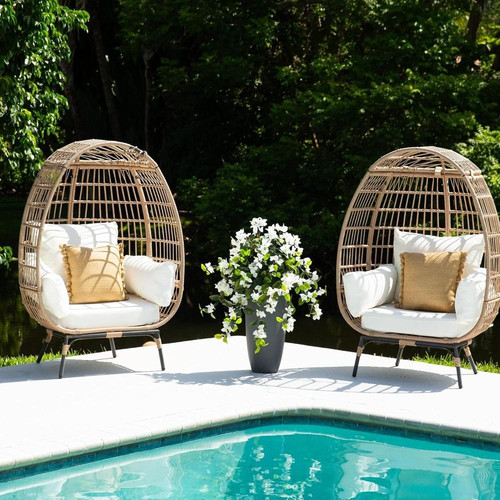 91jhkbizpPL. AC SL1500 (1).jpg