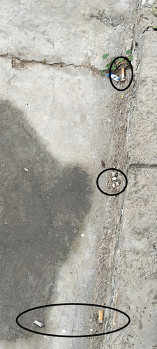 IMG20260115085433.jpg