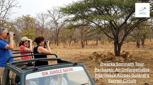 Dwarka Somnath Tour Packages An Unforgettable Pilgrimage Across Gujarat’s Sacred Circuit.png