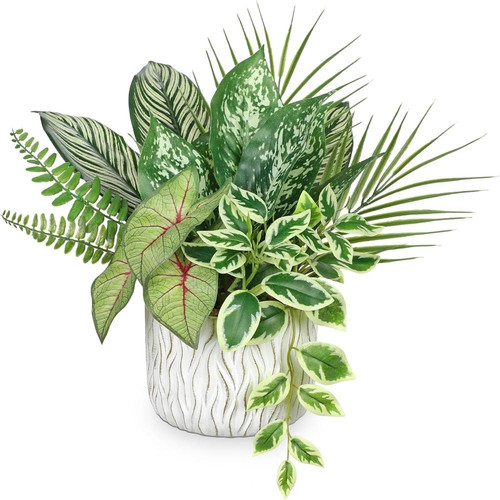 71F4ZHcDEgL. AC SL1500 (1).jpg