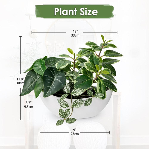 71DPVdkLjNL. AC SL1500 (1).jpg