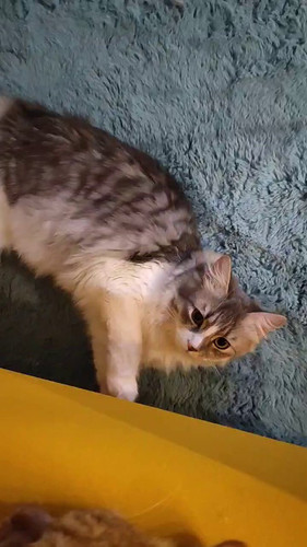 0BG6gGH6sot gyR8.jpg