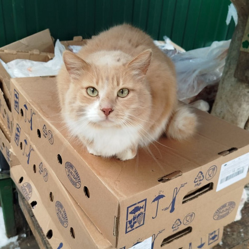 G nZrKKWgAAkImf?format=jpg.jpg