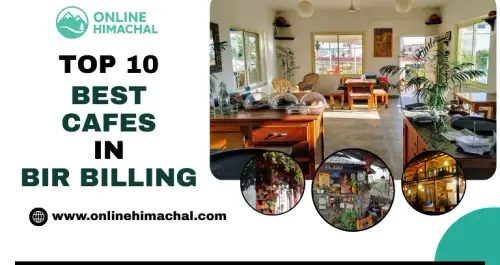 Top 10 Best Cafes in Bir Billing.webp