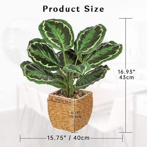 71jM5y1xCwL. AC SL1500 (1).jpg