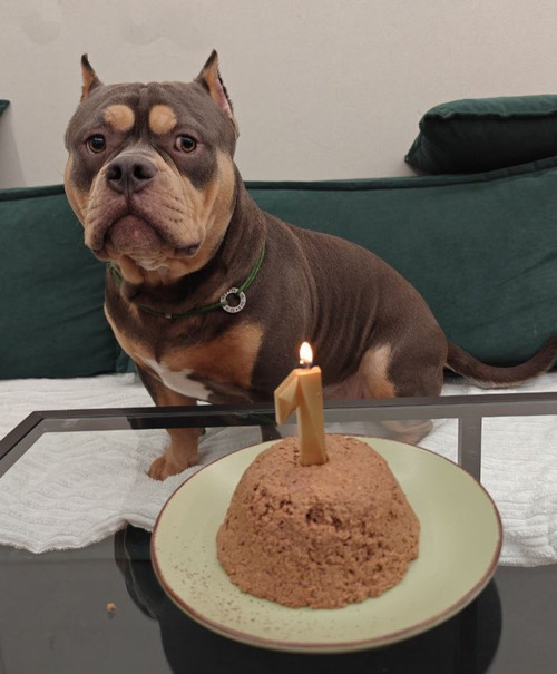 G pdJKtWcAAK9xf?format=jpg.jpg