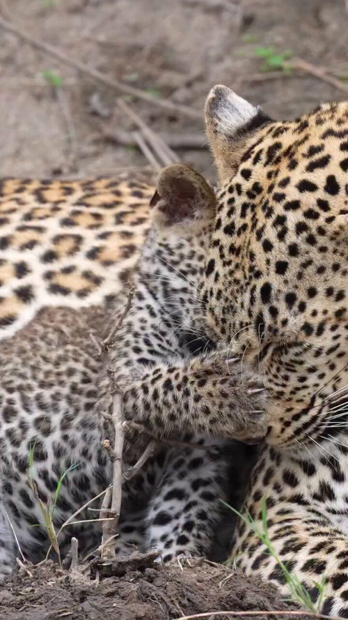 HX JLsIoBEerkTgM.jpg