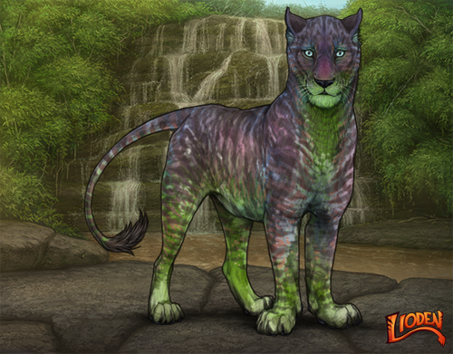 lioden wardrobe 2026 01 16T091948.618.png