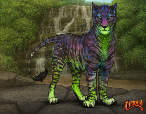 lioden wardrobe 2026 01 16T092011.190.png