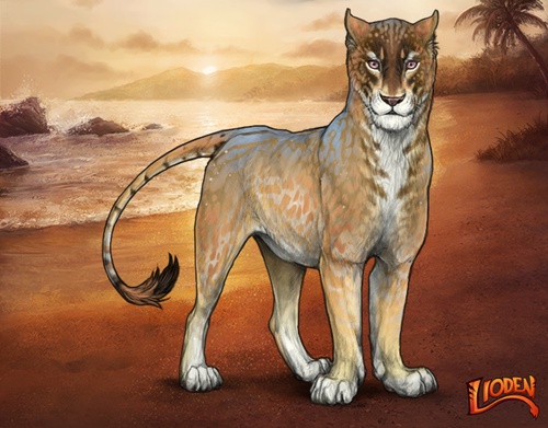 lioden wardrobe 2026 01 16T091557.440.png