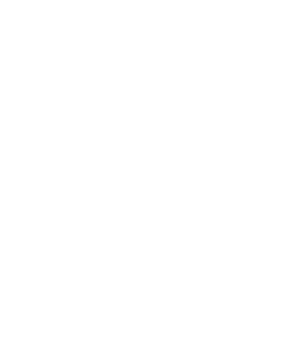 20260116 Cat.png