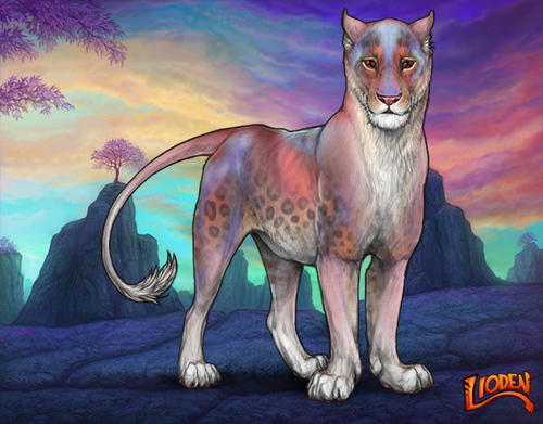 lioden wardrobe 2026 01 16T093426.622.png