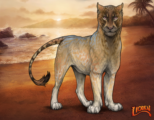 lioden wardrobe 2026 01 16T091526.159.png