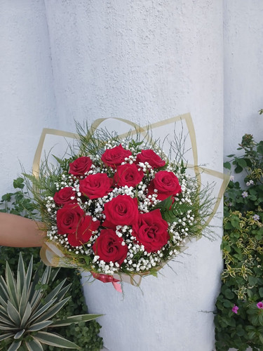 WhatsApp Image 2026 01 11 at 20.20.18.jpg