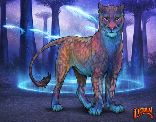 lioden wardrobe 2026 01 16T090904.800.png