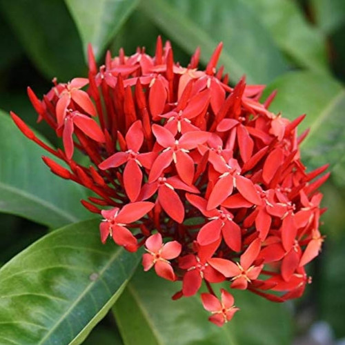 51qr7178CnL. AC UF1000,1000 QL80.jpg