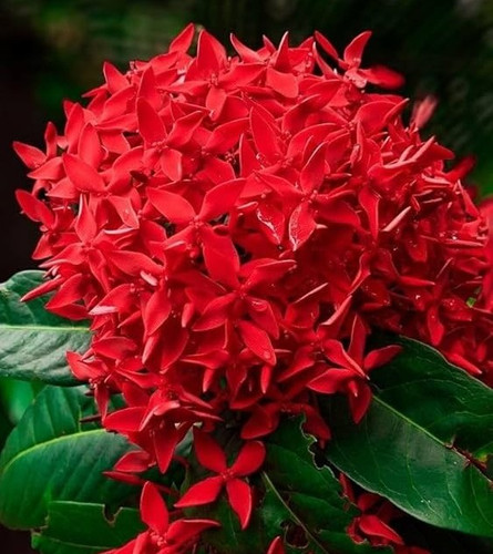 61zwjZw UgL. AC UF1000,1000 QL80.jpg