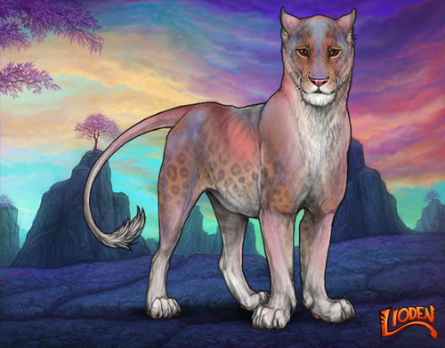 lioden wardrobe 2026 01 16T093405.660.png