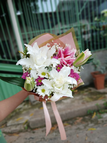 WhatsApp Image 2026 01 15 at 21.14.53.jpg