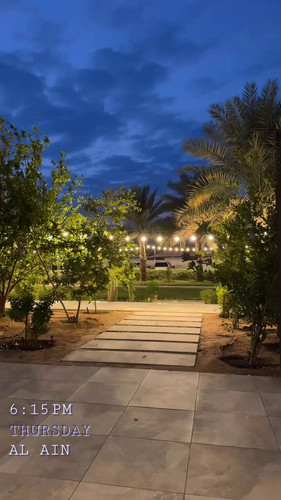 D 0lAYi3elrjD 5N.jpg