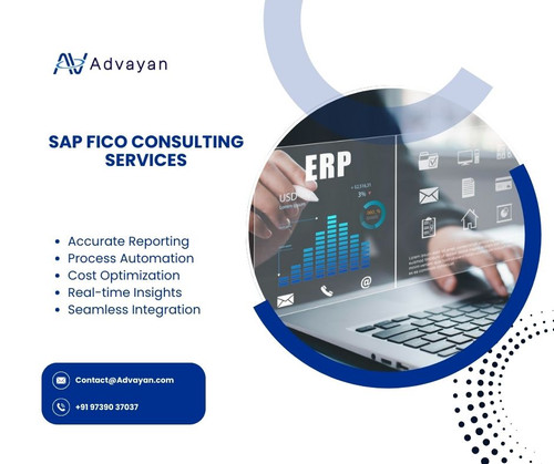 SAP FICO Consulting Services.jpg