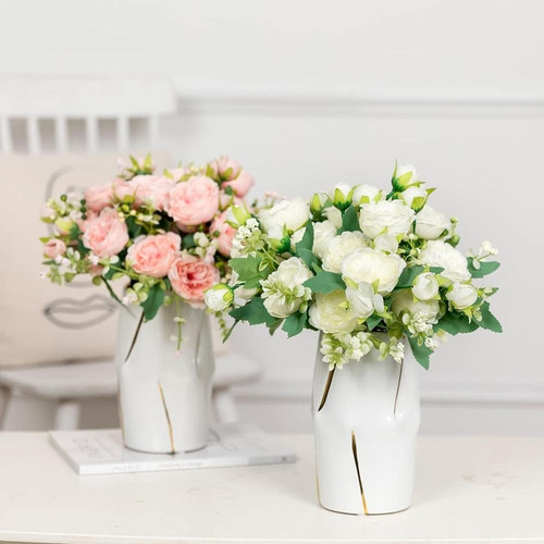 61LTr4tt3DL. AC SL1200 (1).jpg