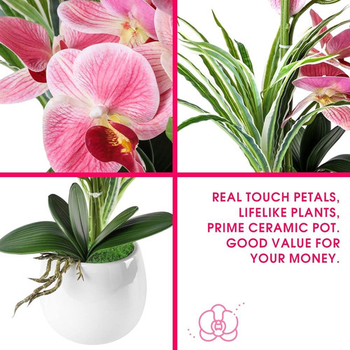 81LLx1cyDSL. AC SL1500 (1).jpg