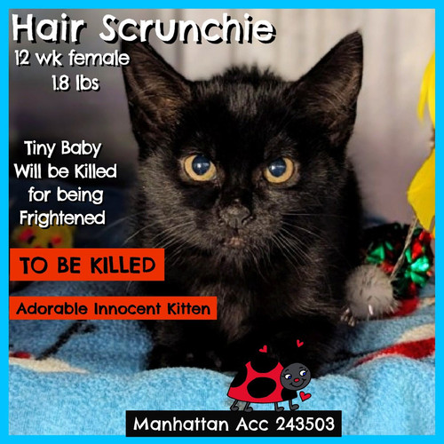 G o2DDaWYAEEcKN?format=jpg.jpg