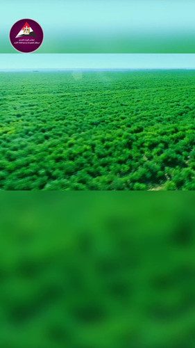 k7RD qjJ07sgZ0bF.jpg