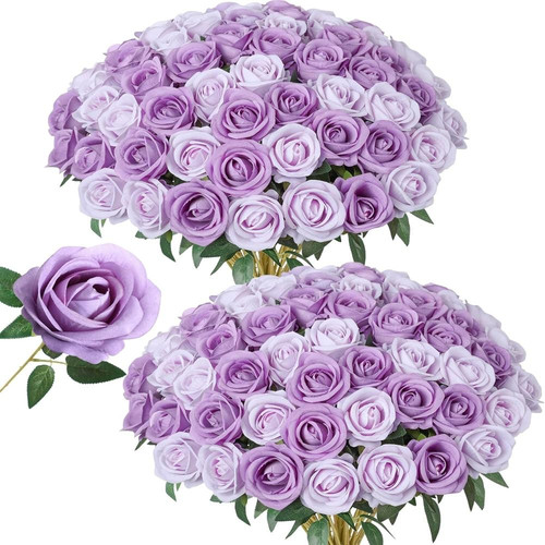 91PMTbY+efL. AC SL1500 (1).jpg