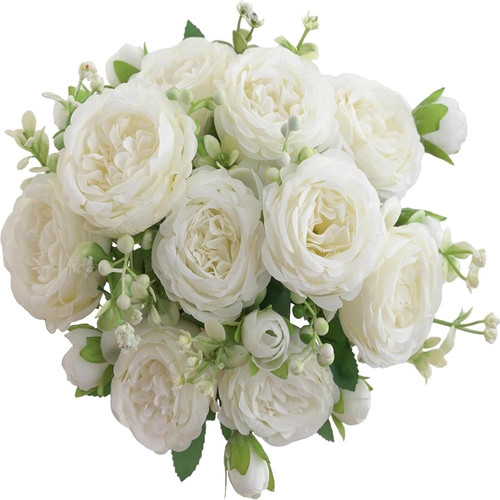 71RIqp06MkL. AC SL1500 (1).jpg