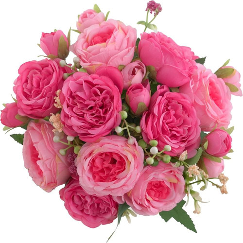 81FsH1BabwL. AC SL1500 (1).jpg