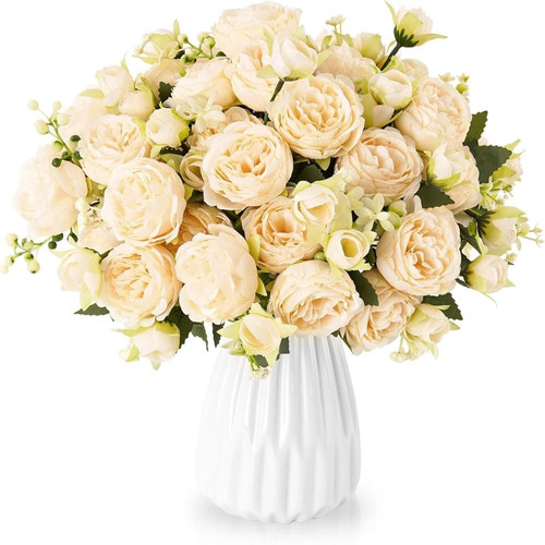 71UiAN0xpxL. AC SL1500 (1).jpg