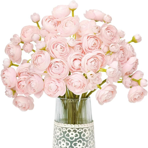 71T017cZbdL. AC SL1500 (1).jpg