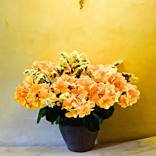 71GMVsO4LPL. AC SL1500 (1).jpg