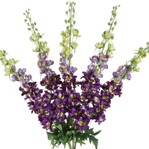 71A0lc1JYZL. AC SL1500 (1).jpg