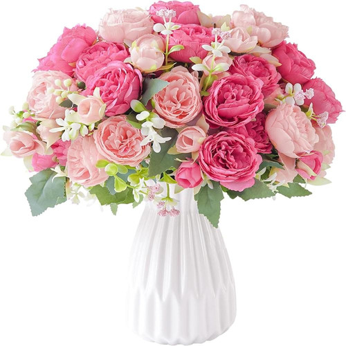 71 MYBtl mL. AC SL1500 (1).jpg