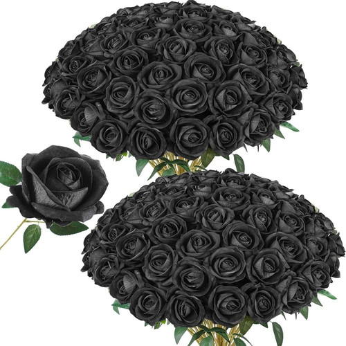 91yM1uD1aqL. AC SL1500 (1).jpg