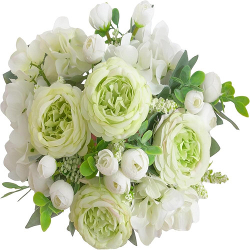 81CM1e5R7tL. AC SL1500 (1).jpg