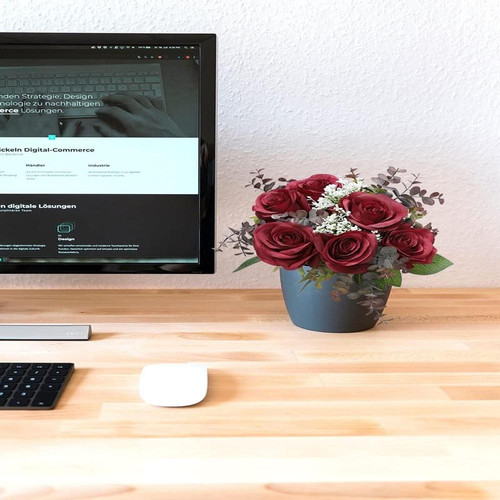 61NVDOJapnL. AC SL1200 (1).jpg