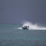 IMG 3037