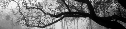 New Project 2026 01 15T123403.894.png