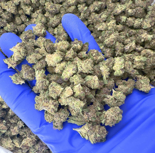 2026 01 15 13.51.04.jpg