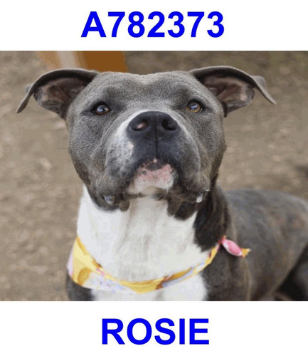 G s6mnyWcAAbtbO?format=jpg.jpg