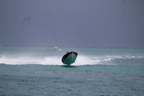 IMG 3056.jpg