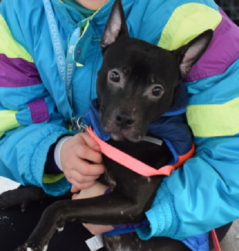 G9geL4SbsAED MZ?format=png.png