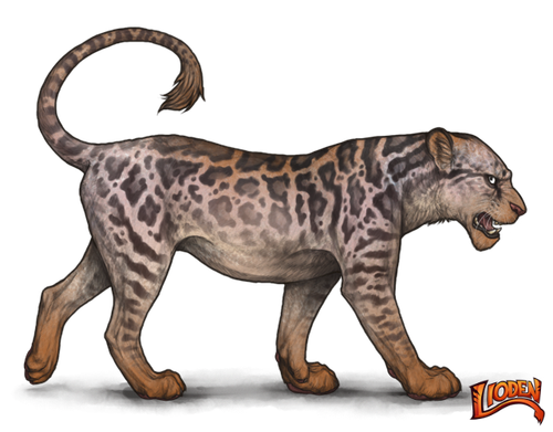 lioden wardrobe 2.png