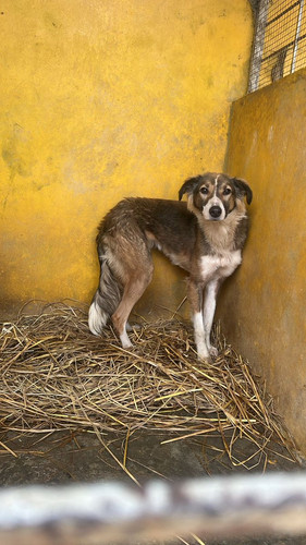 G lC58MXUAArZ1x?format=jpg.jpg