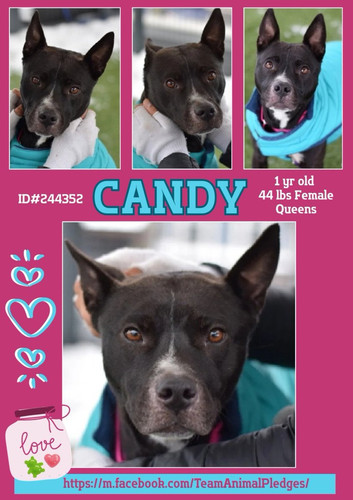 G9gjc zWEAAAyxV?format=jpg.jpg